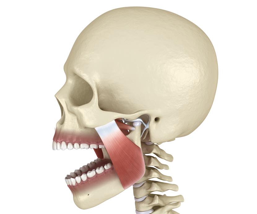 顳顎關節症候群自我檢測示意圖